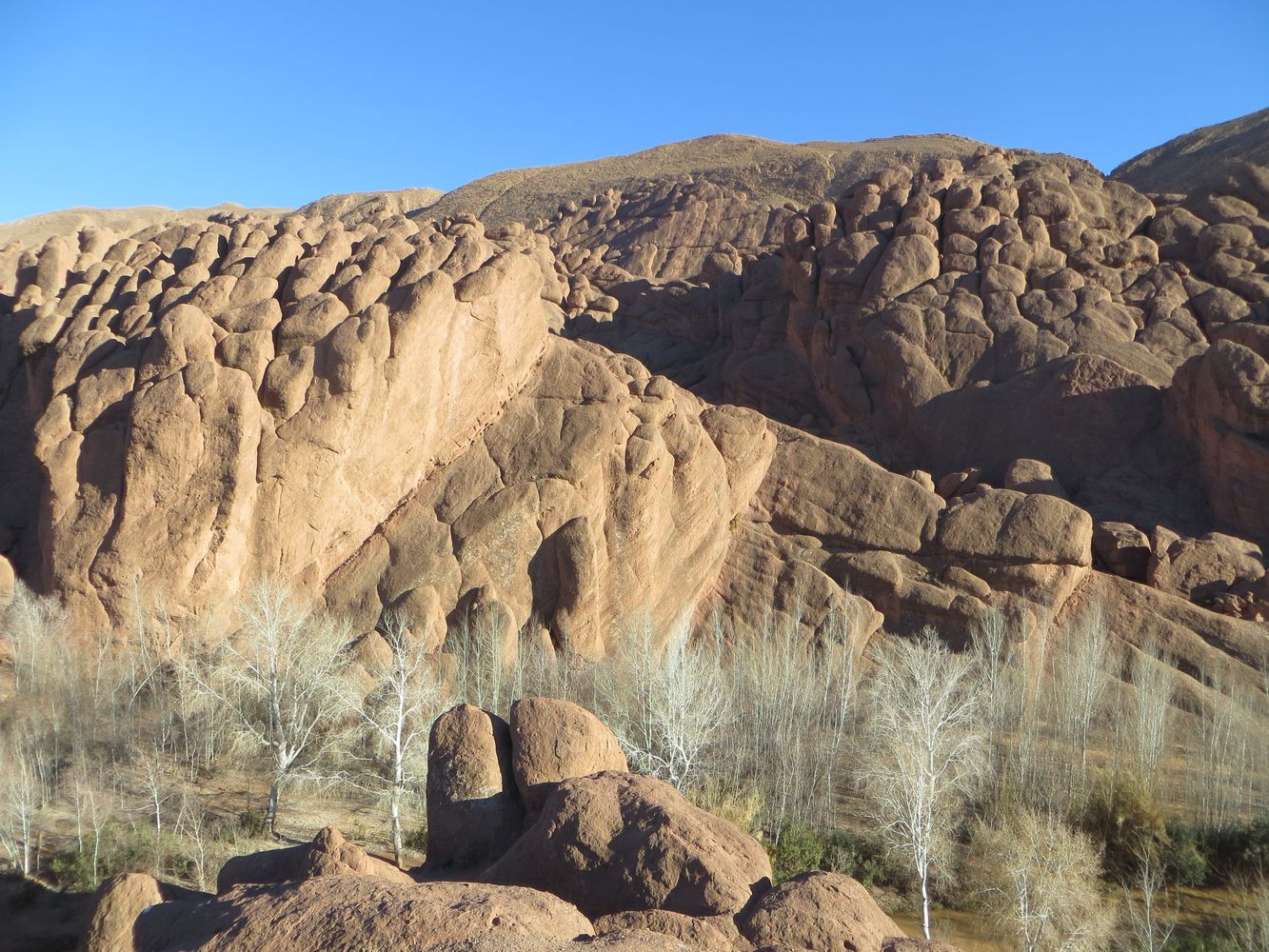 image_temoignage_maroc