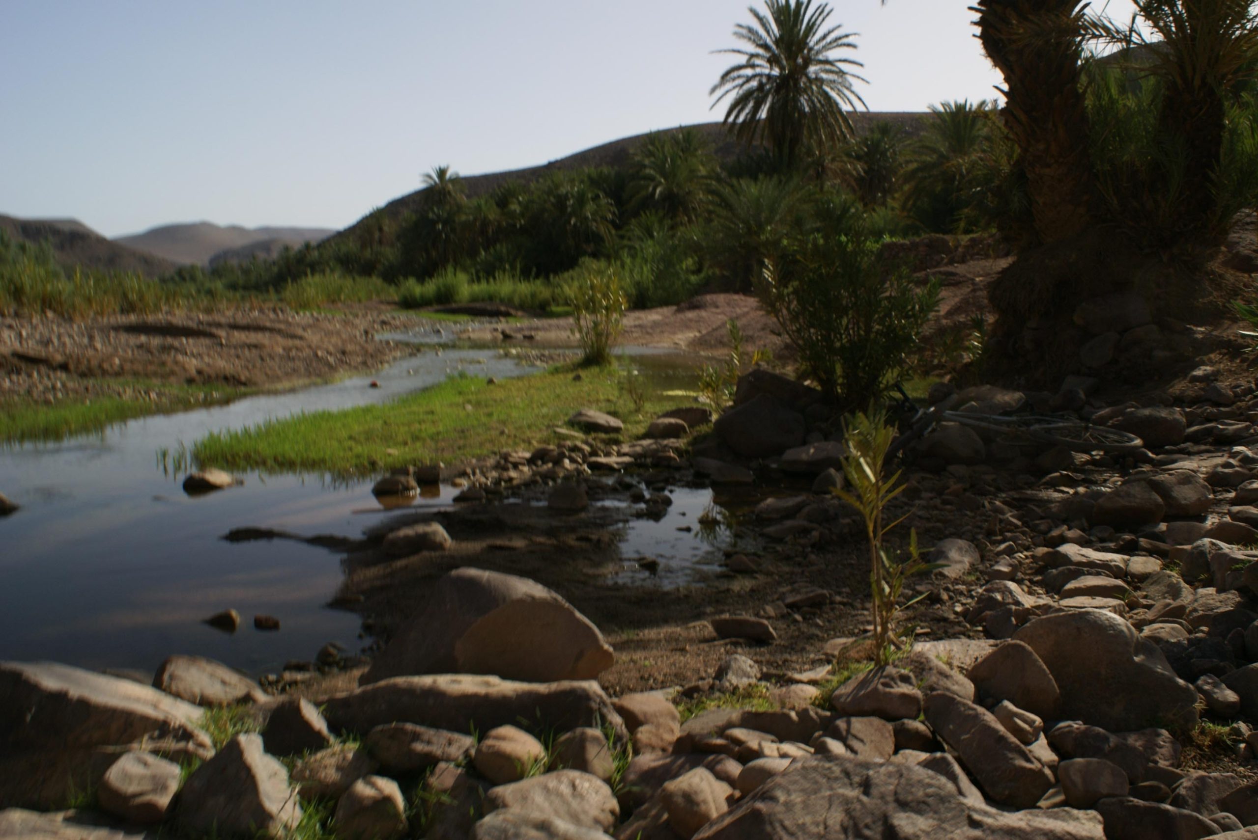 L’oasis de Fint