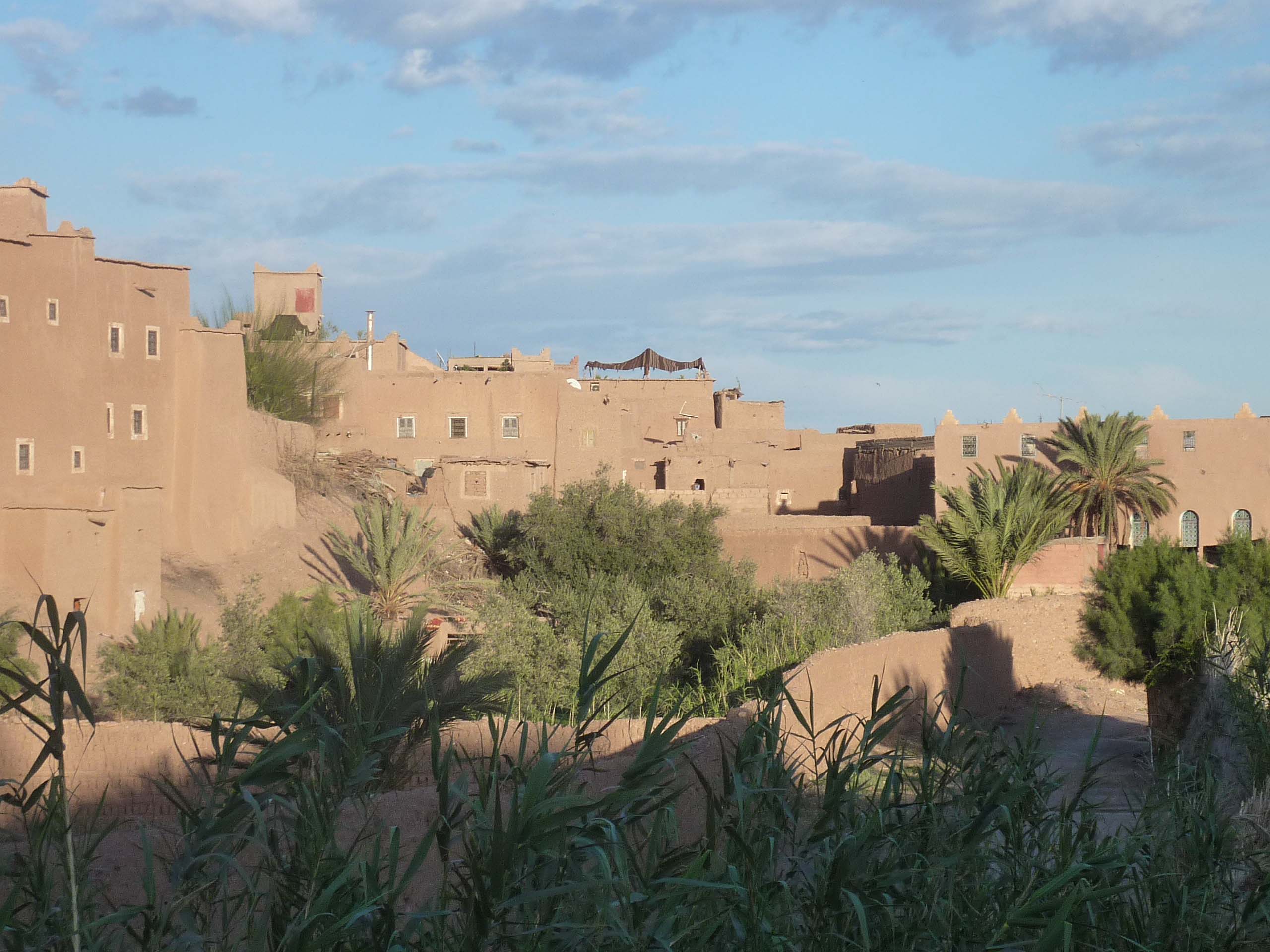 Kasbahs, oasis et désert