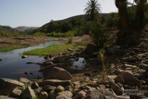 circuit-maroc-4x4-PNyJU2oM2h
