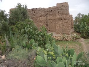 circuit-maroc-4x4-dgFZ88FaBM